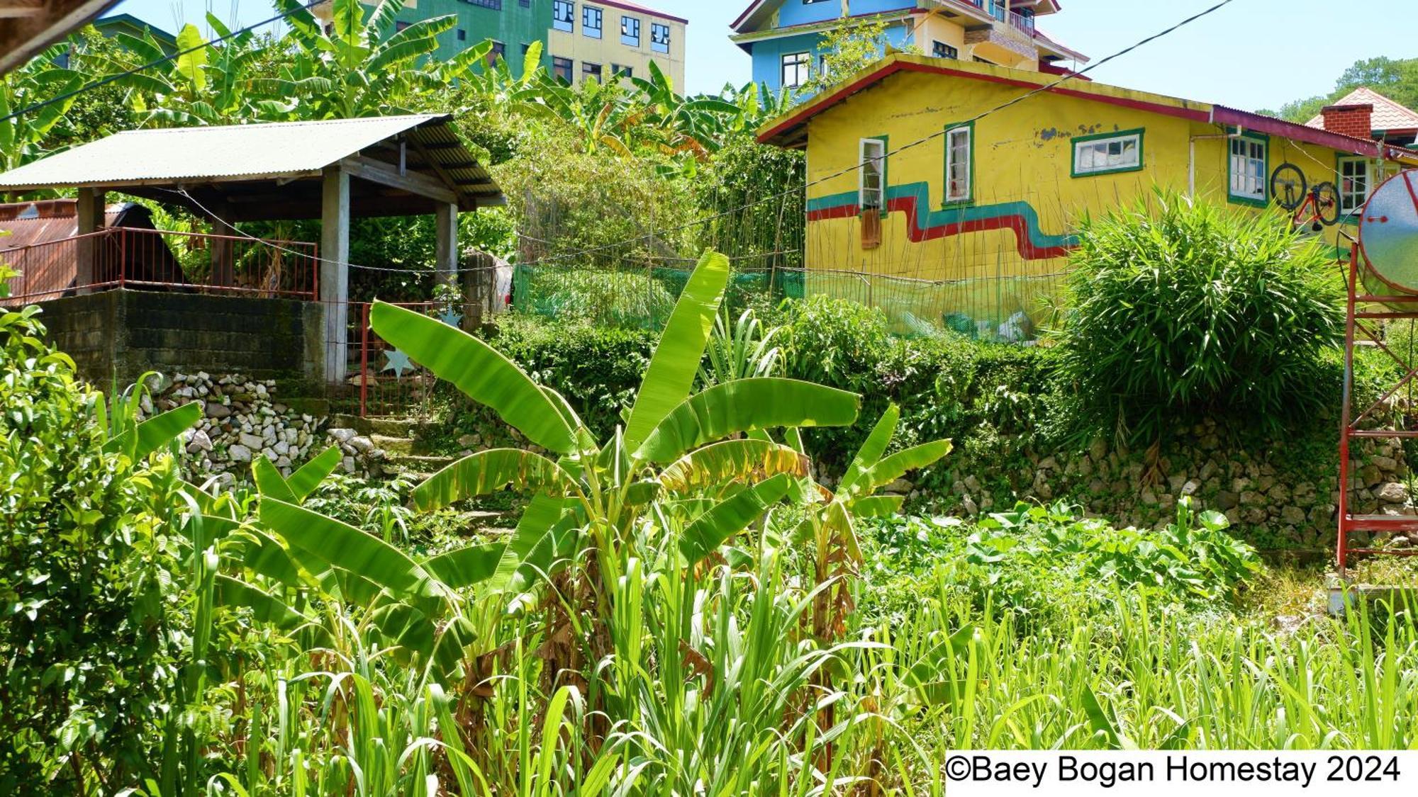 BAEY B0GAN Homestay Sagada Bagian luar foto