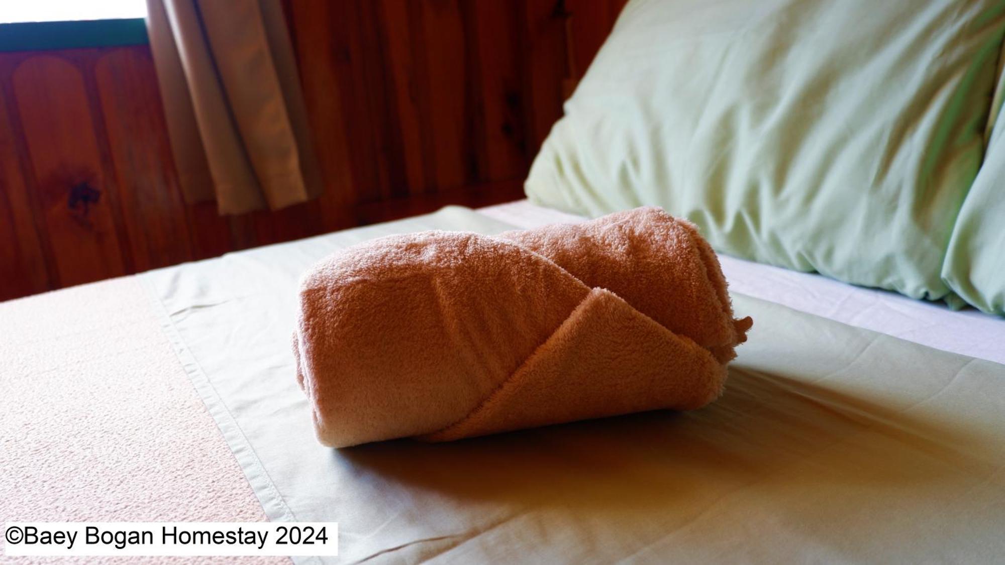 BAEY B0GAN Homestay Sagada Bagian luar foto