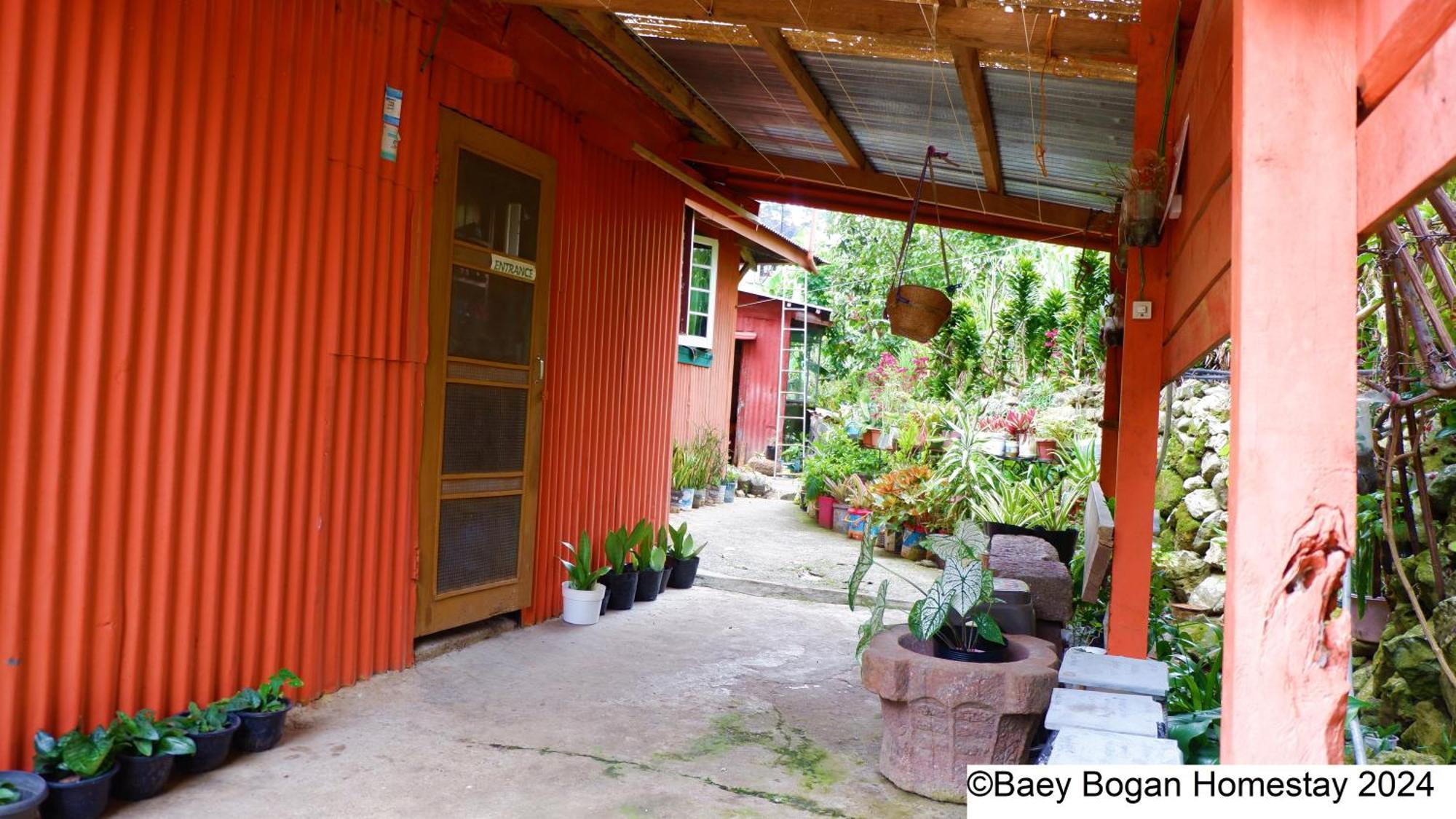 BAEY B0GAN Homestay Sagada Bagian luar foto