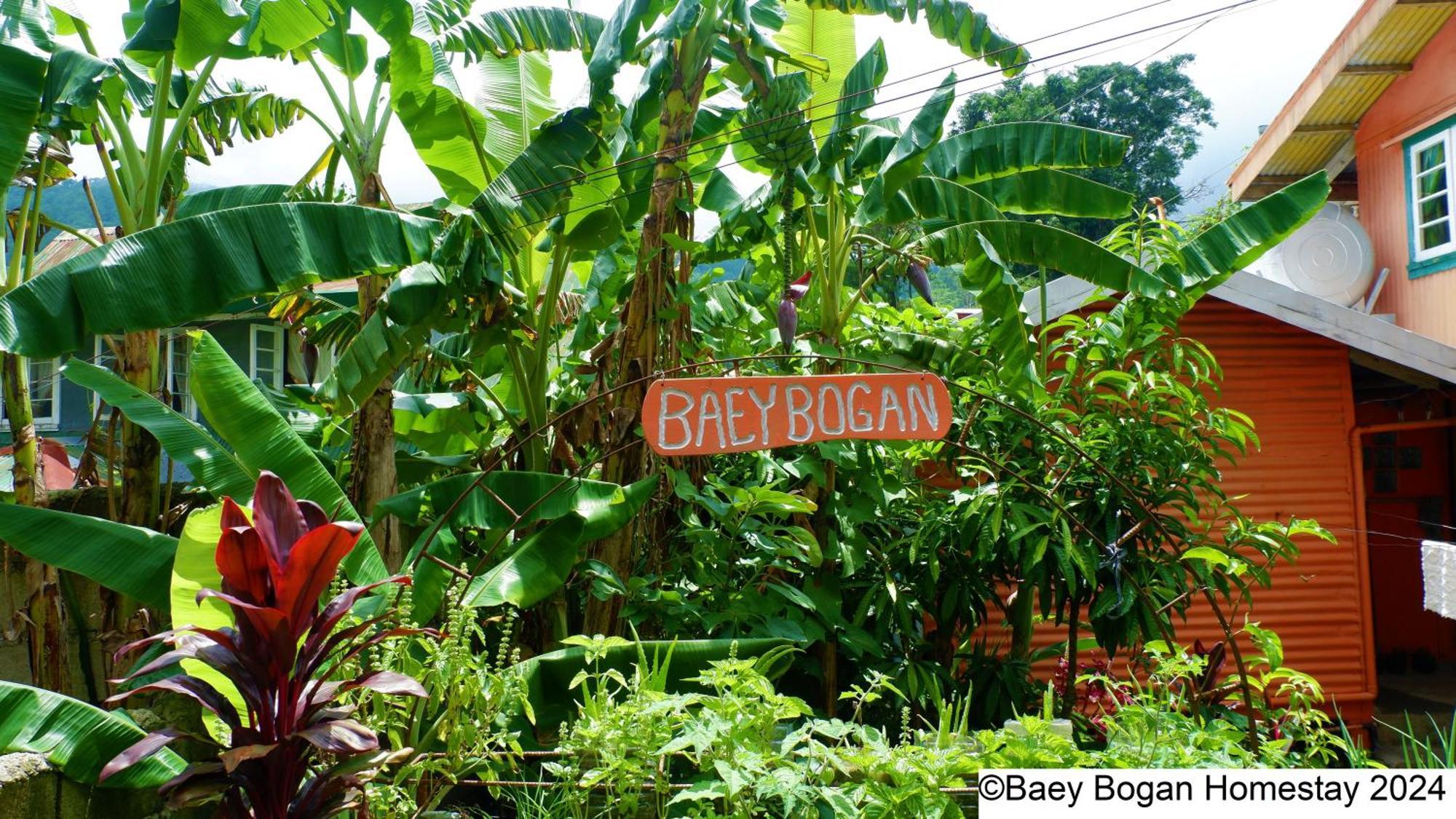 BAEY B0GAN Homestay Sagada Bagian luar foto