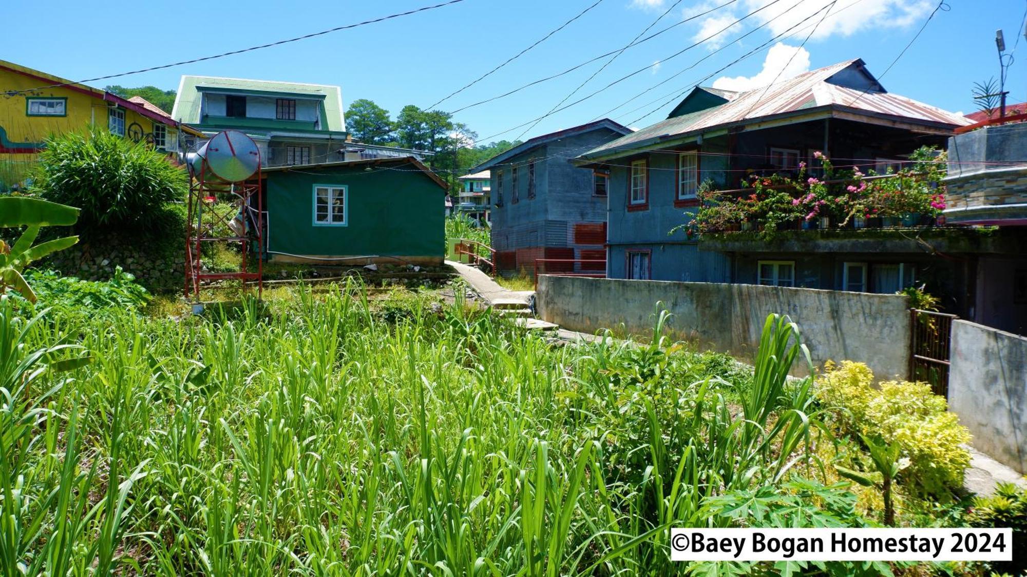 BAEY B0GAN Homestay Sagada Bagian luar foto